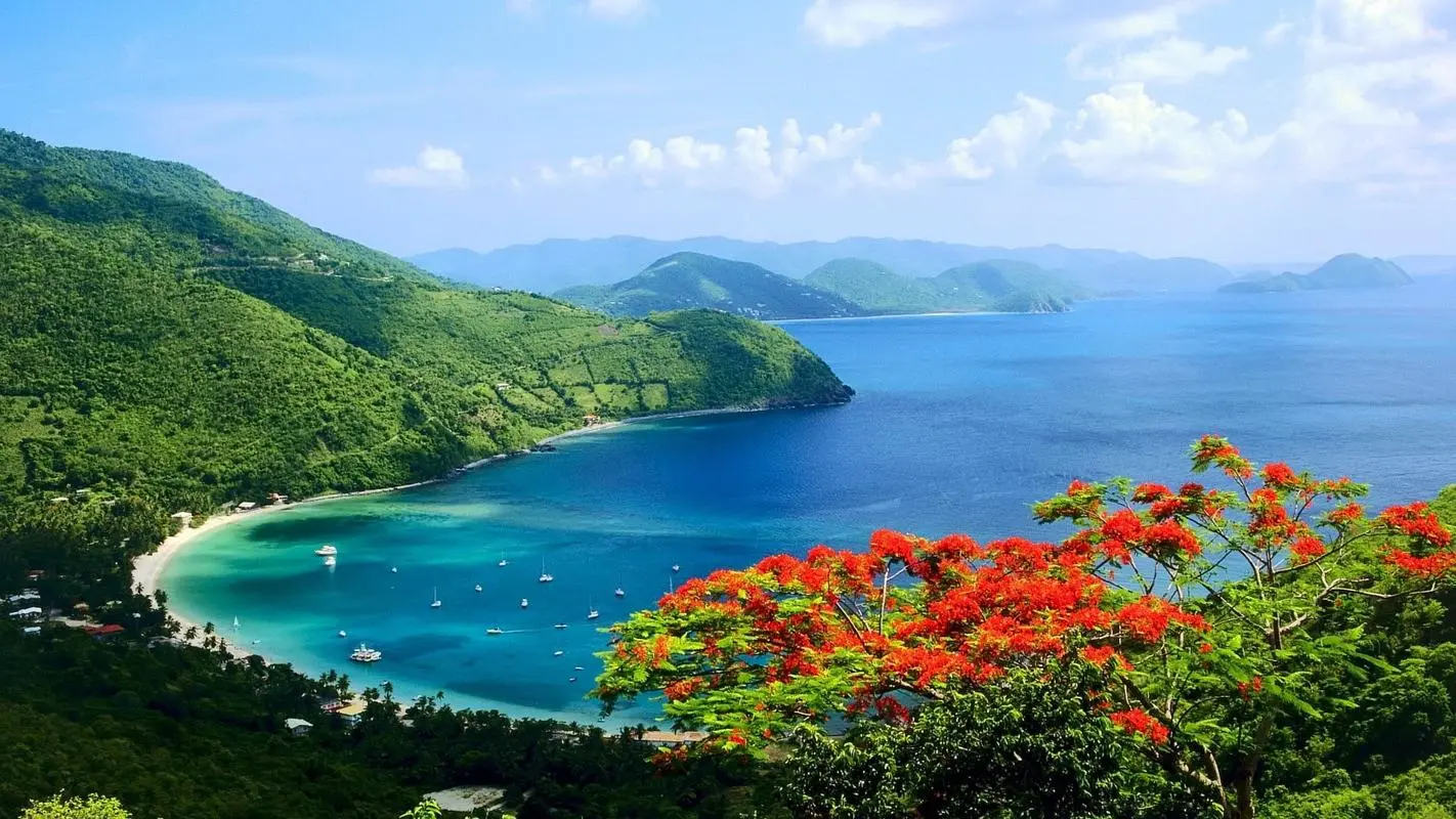 高性能智能